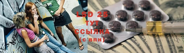 ГАЛЛЮЦИНОГЕННЫЕ ГРИБЫ Осташков