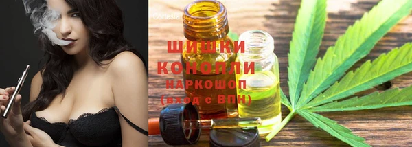 дмт Осинники