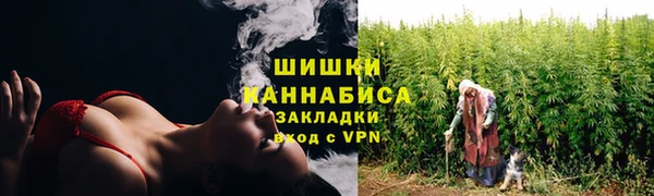 ГАЛЛЮЦИНОГЕННЫЕ ГРИБЫ Осташков