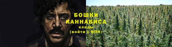 ГАЛЛЮЦИНОГЕННЫЕ ГРИБЫ Осташков