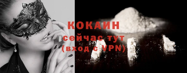 дмт Осинники