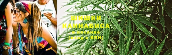 ГАЛЛЮЦИНОГЕННЫЕ ГРИБЫ Осташков