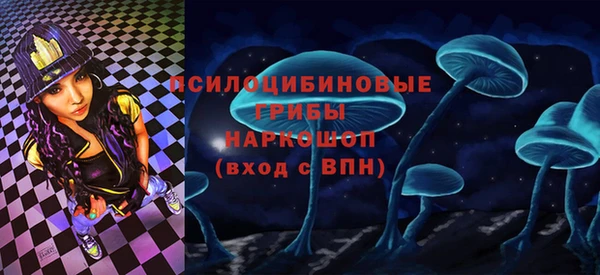 дмт Осинники