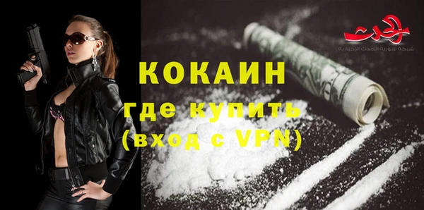 дмт Осинники