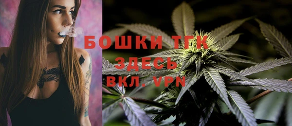 ГАЛЛЮЦИНОГЕННЫЕ ГРИБЫ Осташков