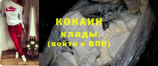 дмт Осинники